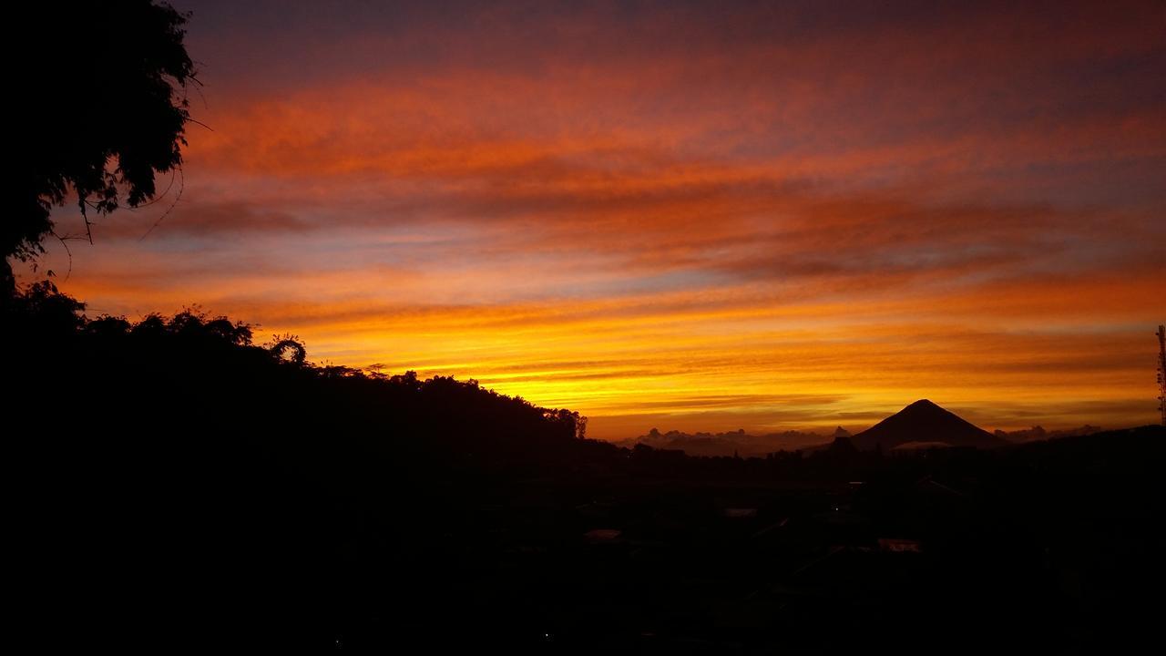 Bajawa-Roo Hotel Bagian luar foto